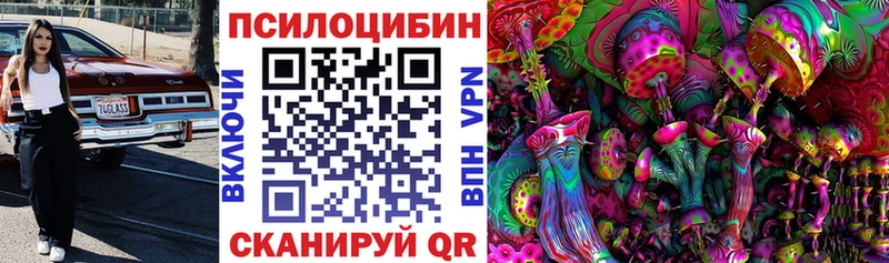 Купить где  Дюртюли  Галлюциногенные грибы Cubensis 