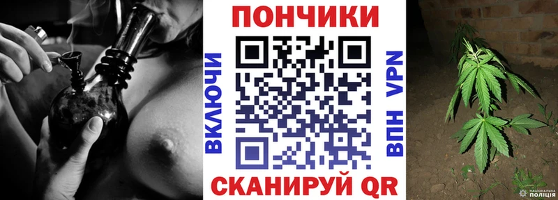 Купить закладки  Дюртюли  Шишки марихуана тримм 